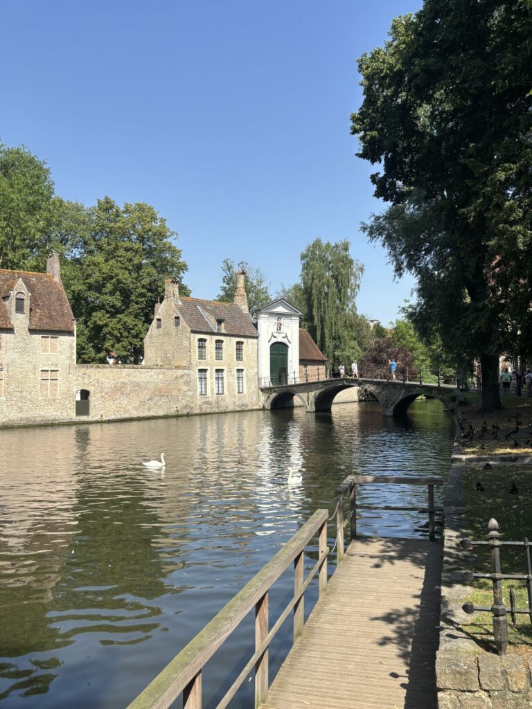Image (14)